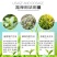 国光茶博士微量元素氨基酸水溶肥料茶树专用叶面肥铁锌硼茶叶