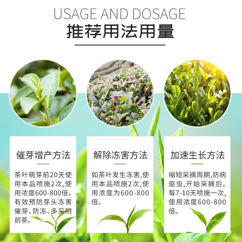 国光茶博士微量元素氨基酸水溶肥料茶树专用叶面肥铁锌硼茶叶