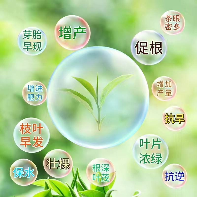 国光茶博士微量元素氨基酸水溶肥料茶树专用叶面肥铁锌硼茶叶