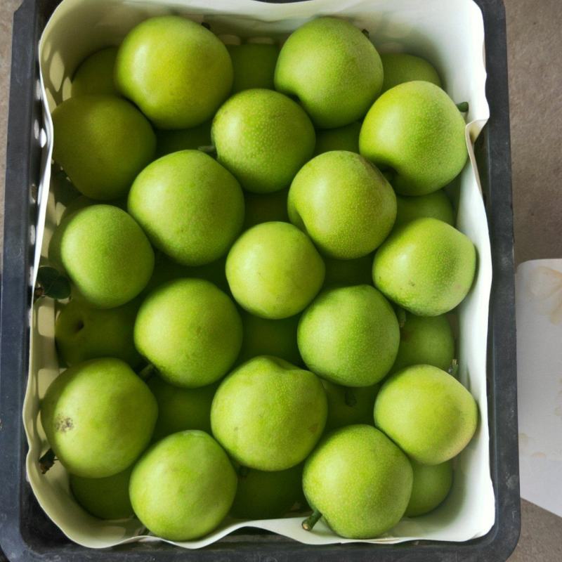 皇冠梨青皇冠梨砀山梨价格自然色皇冠梨白皇冠梨皮薄