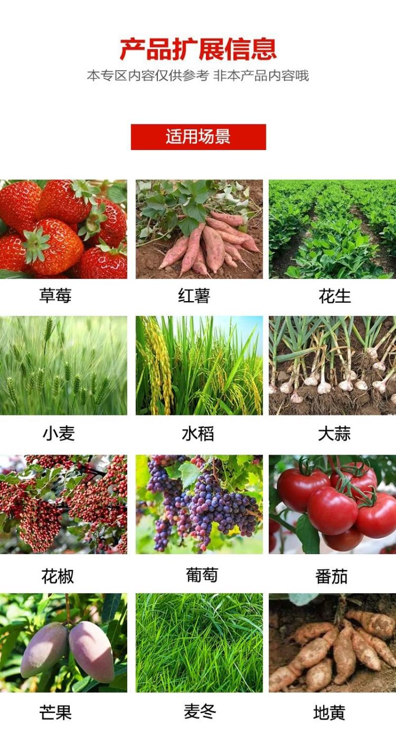 10调环酸钙控红薯花生水稻花卉蔬菜草莓葡萄控旺梢矮化