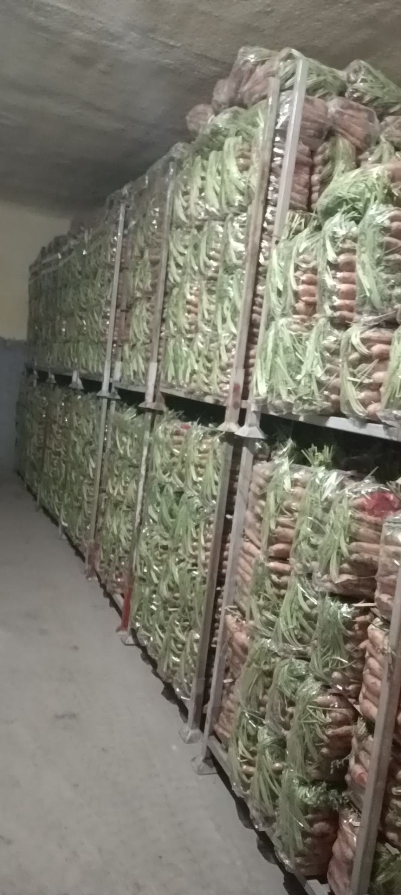 水洗精品胡萝卜，市场电商，越南包，带英都可以，欢迎洽谈