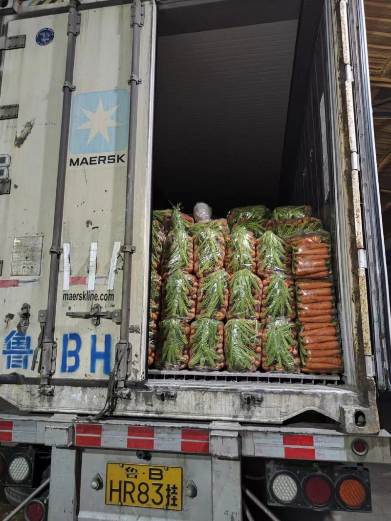 水洗精品胡萝卜，市场电商，越南包，带英都可以，欢迎洽谈