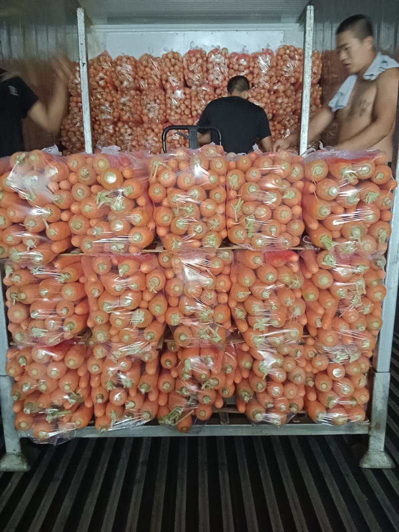 水洗精品胡萝卜，市场电商，越南包，带英都可以，欢迎洽谈