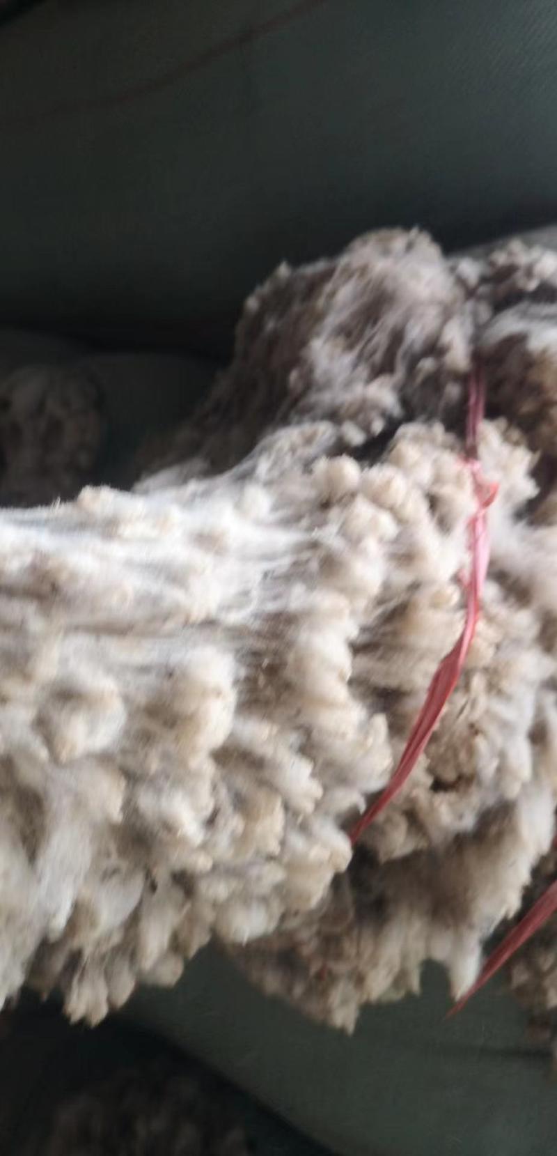 羊毛，细毛