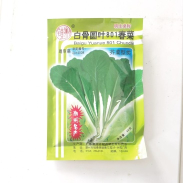 明生种业白骨圆叶801春菜种子莴苣芥菜种子高产口感好