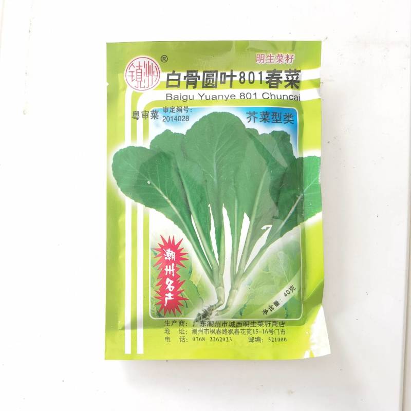明生种业白骨圆叶801春菜种子莴苣芥菜种子高产口感好