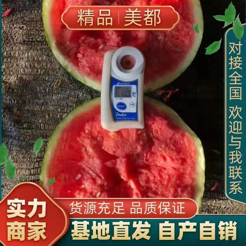 【实力推荐】美都河南大棚无籽寻找，批发商超长期合作伙伴，