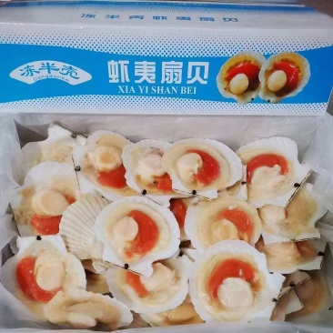 原汁半壳扇贝