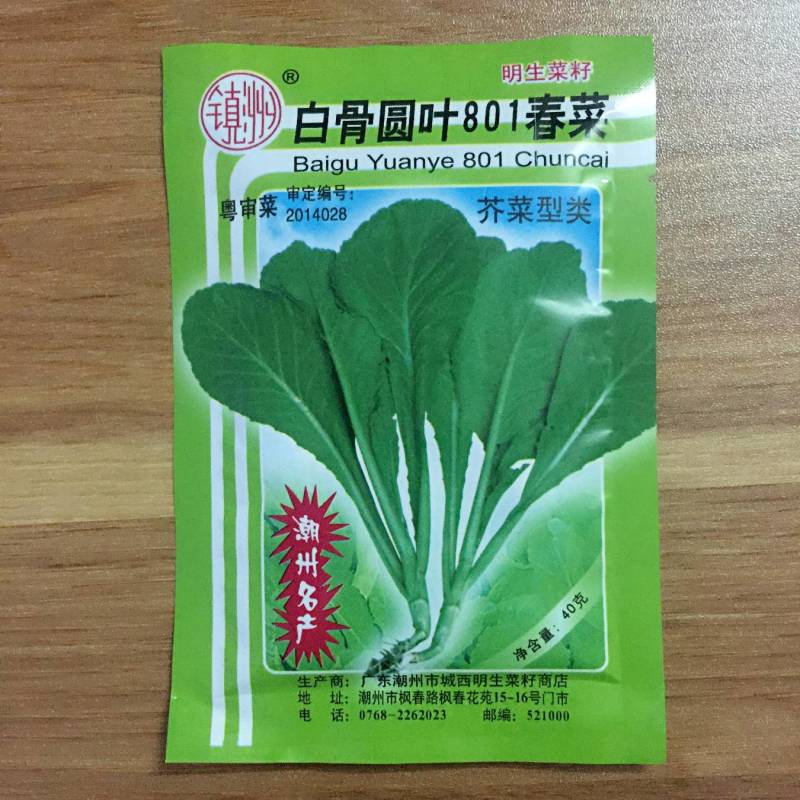 明生种业白骨圆叶801春菜种子莴苣芥菜种子高产口感好