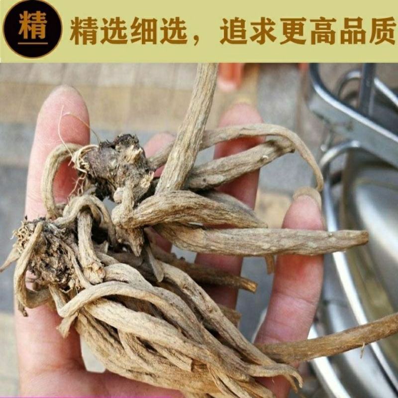 纯野生干马刺根大蓟根大计根中药材