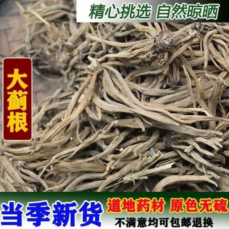 纯野生干马刺根大蓟根大计根中药材