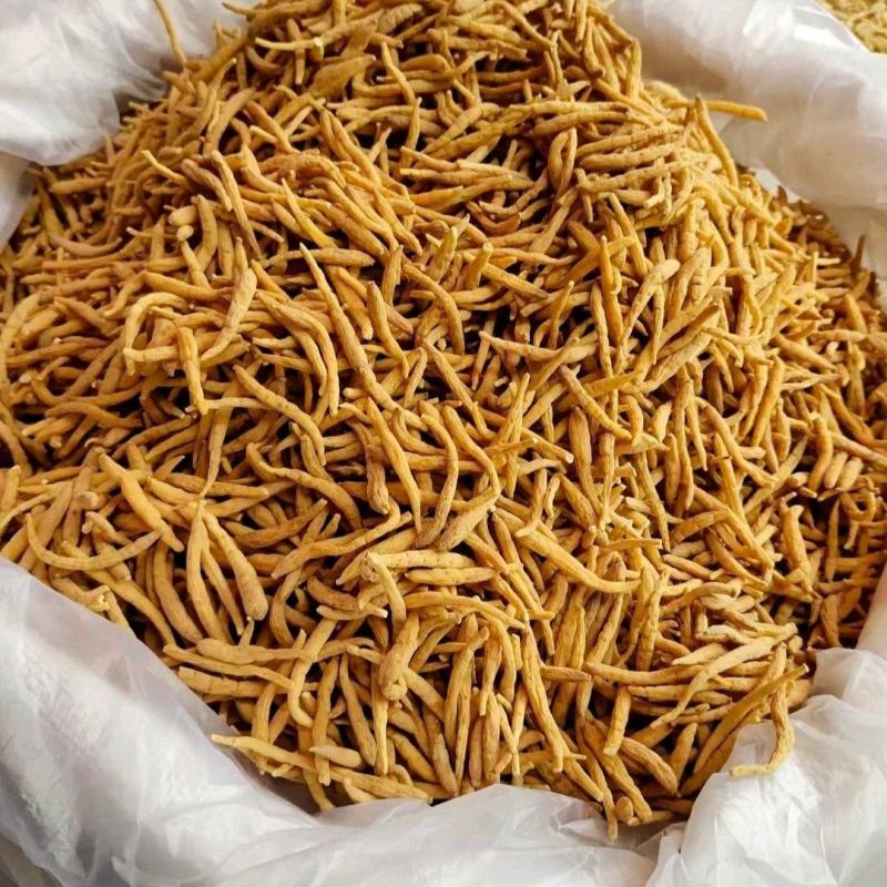 太子参新货全规格零差评百万销量广州店