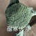 耐寒西兰花种子耐寒低温不变色蘑菇型花球美观正品