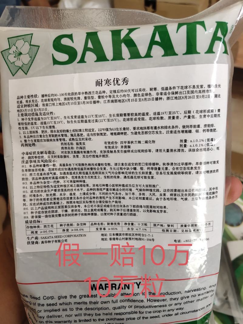 耐寒西兰花种子耐寒低温不变色蘑菇型花球美观正品