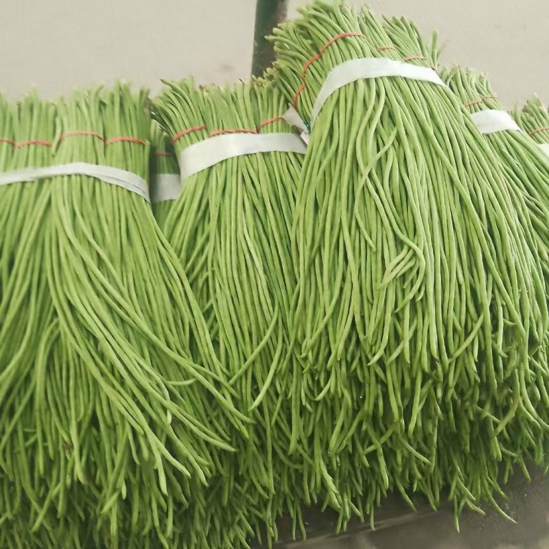 精品长豇豆，长豆角，产地一手货源，质量保证，欢迎进店联系