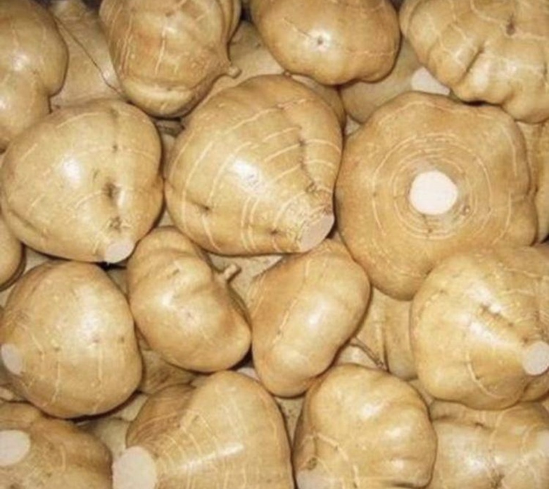 子姜与蒜的对比图,展示其外观、质地和常见食用方式 姜蒜食材对比图