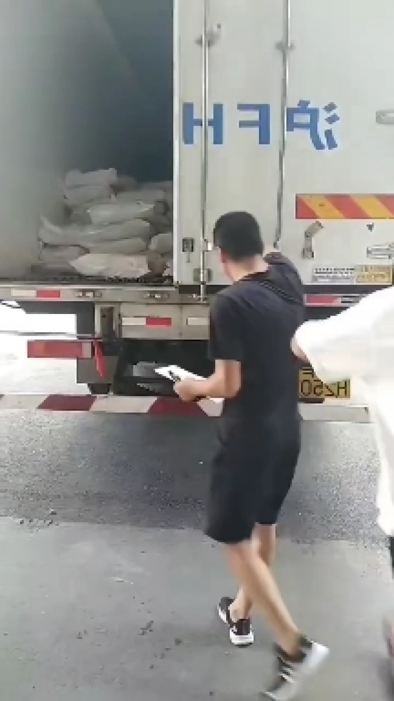 肥猪龙骨厂家直供品质保证手续齐全