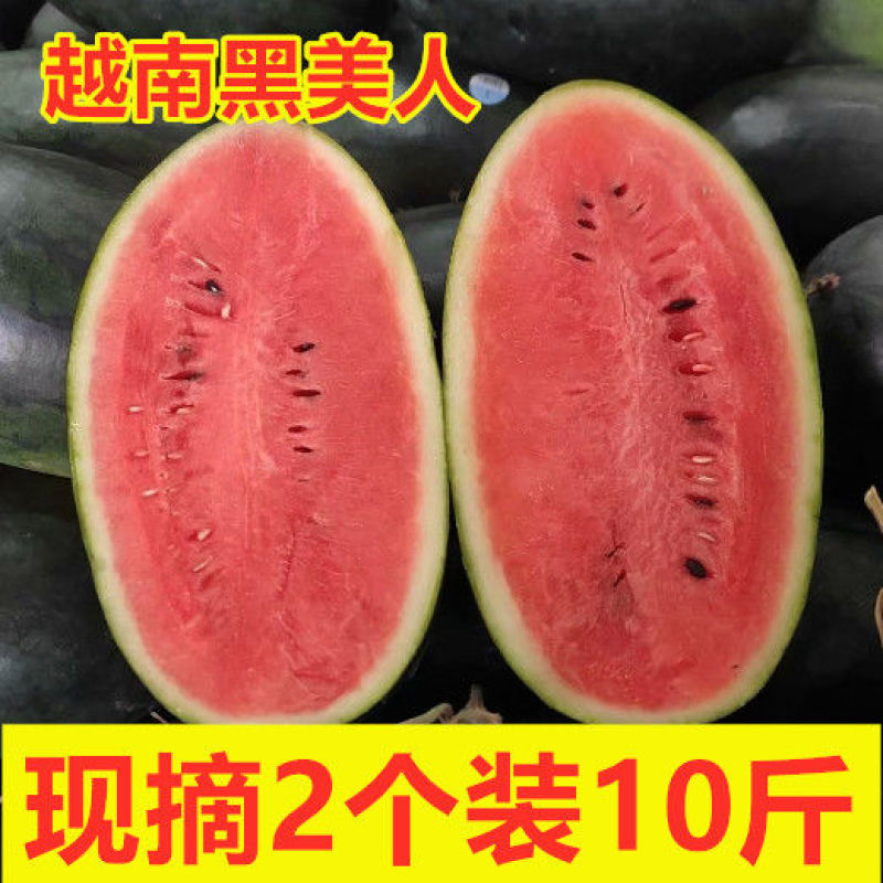 现摘黑美人西瓜包邮