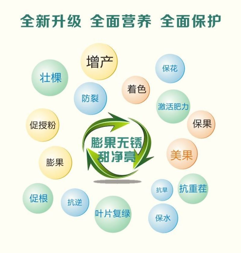 国丰果金无锈防落膨果亮果灵膨果素膨大着色剂增甜剂祛果锈防