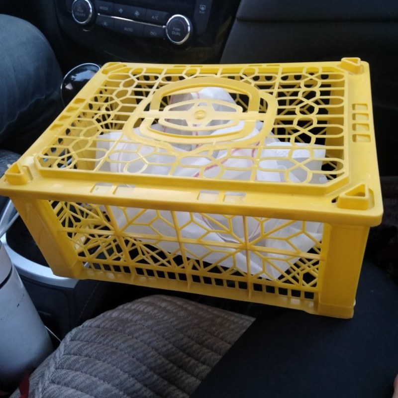 新疆巨峰葡萄即将上市有需要的联系我哦！
