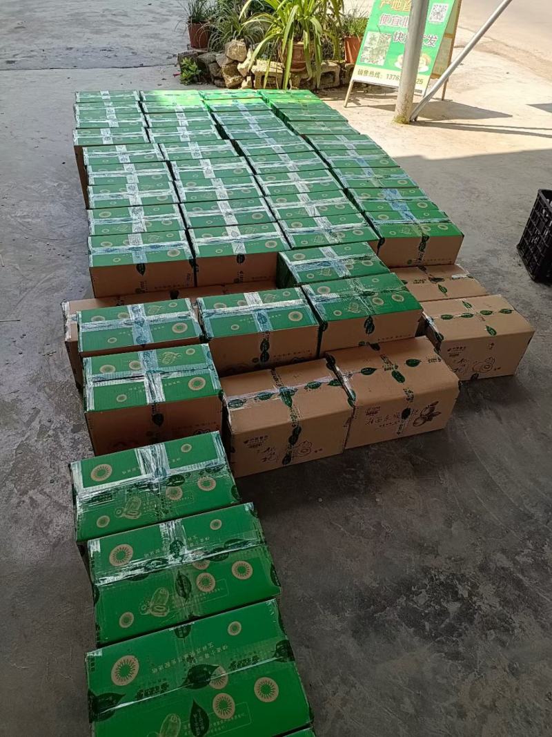 湖南湘西绿心猕猴桃大量上市量大，欢迎各位前来咨询选购