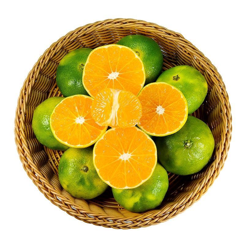 【代发全国】精品宜昌特早蜜橘大量供应现摘现发皮薄