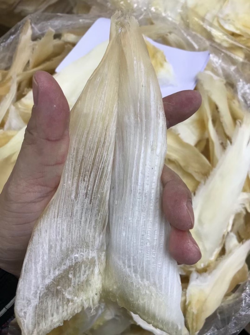 鱼翅牙拣青片平圆牙平软牙弯头半骨货源充足