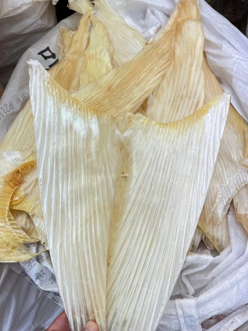 鱼翅牙拣青片平圆牙平软牙弯头半骨货源充足