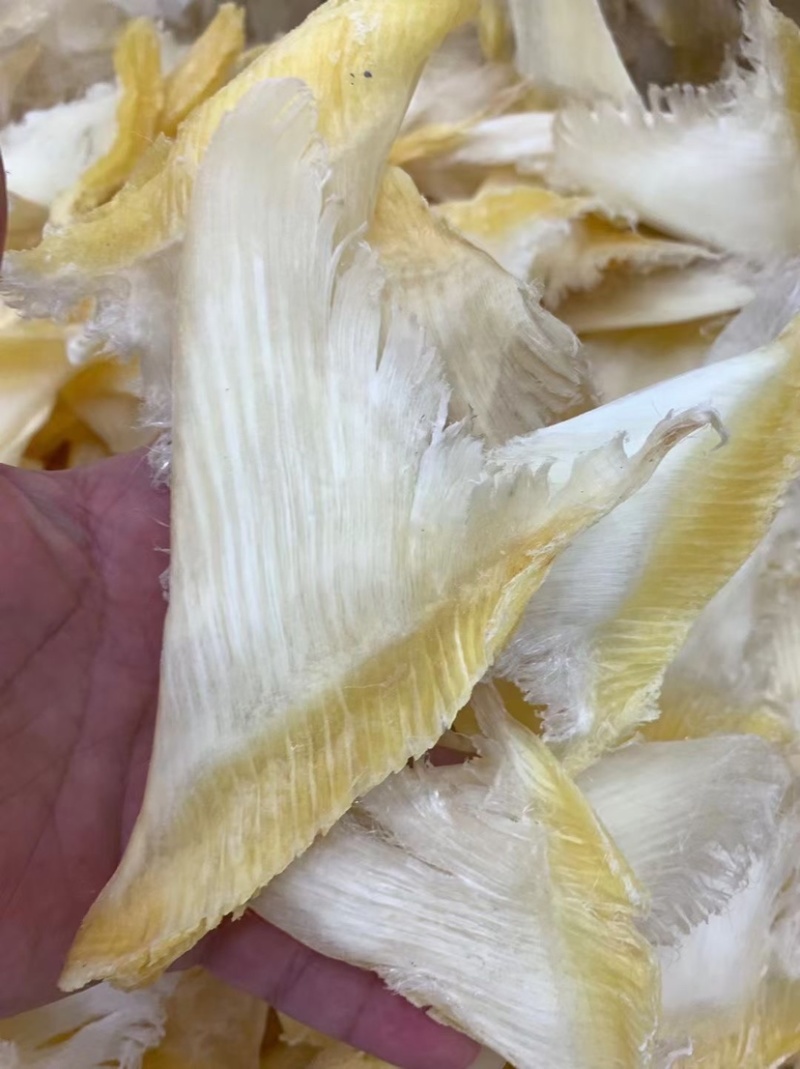鱼翅牙拣青片平圆牙平软牙弯头半骨货源充足