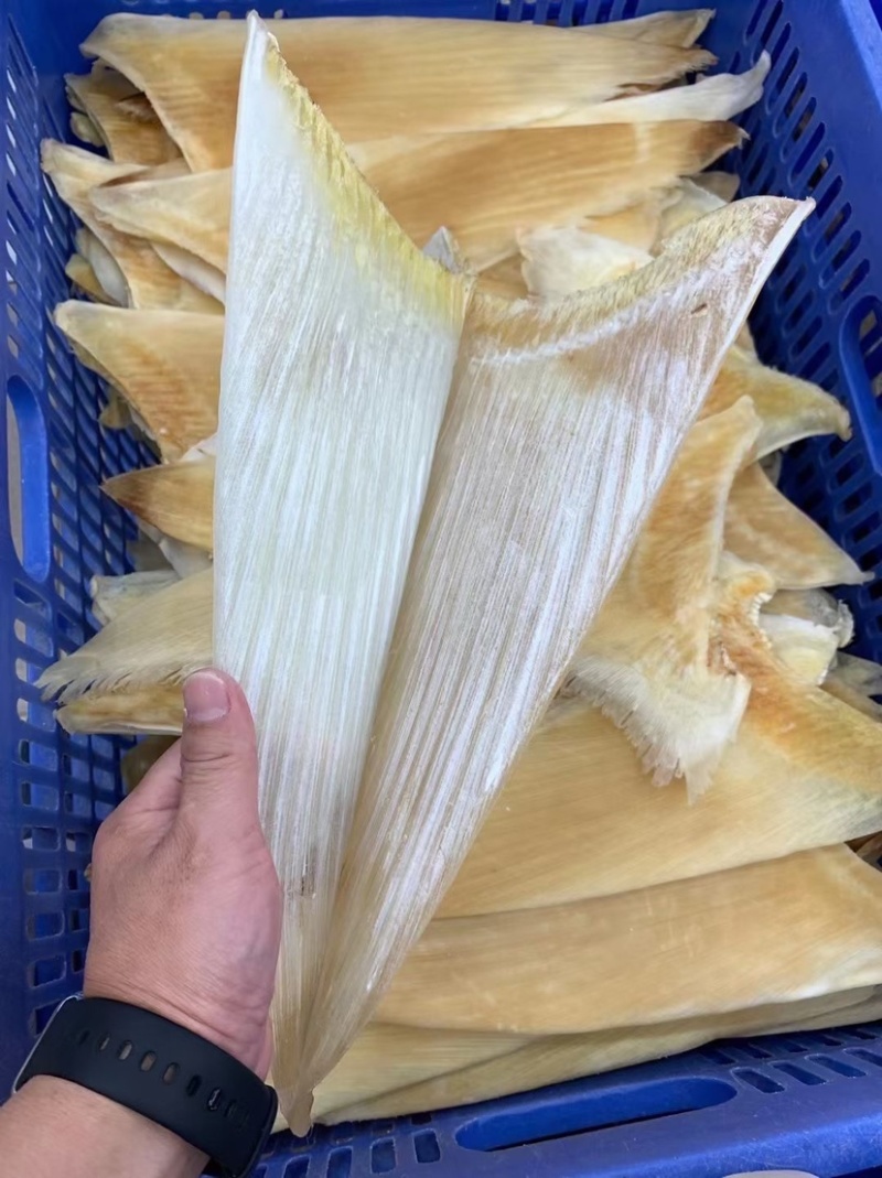 鱼翅牙拣青片平圆牙平软牙弯头半骨货源充足
