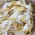 鱼翅牙拣青片平圆牙平软牙弯头半骨货源充足