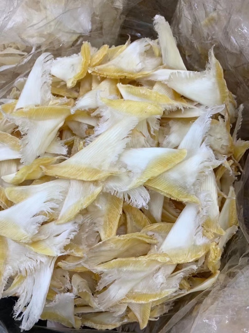 鱼翅牙拣青片平圆牙平软牙弯头半骨货源充足