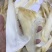 鱼翅牙拣青片平圆牙平软牙弯头半骨货源充足