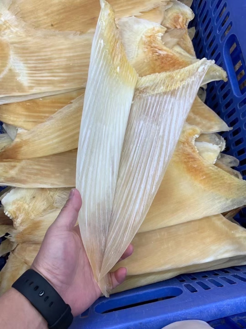 鱼翅牙拣青片平圆牙平软牙弯头半骨货源充足