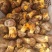 白葱菌，正宗楚雄州野生菌，无泡水，无软根，无虫菌精品统货