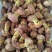 白葱菌，正宗楚雄州野生菌，无泡水，无软根，无虫菌精品统货
