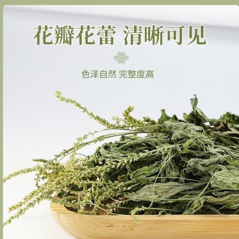 纯野生干货车前草蛤蟆叶车茶草干货新鲜中药材