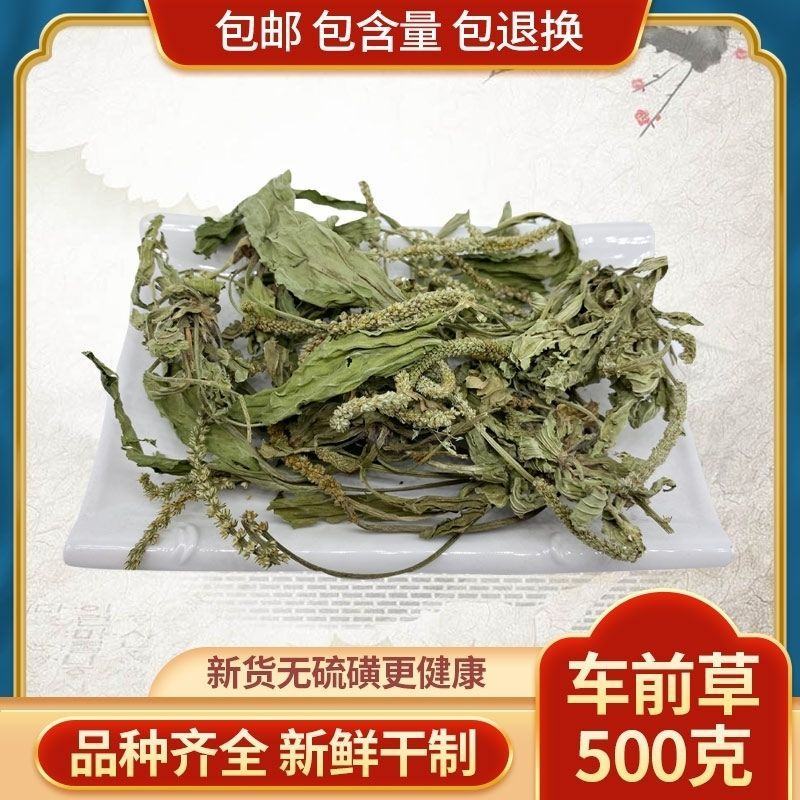 纯野生干货车前草蛤蟆叶车茶草干货新鲜中药材