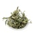 纯野生干货车前草蛤蟆叶车茶草干货新鲜中药材