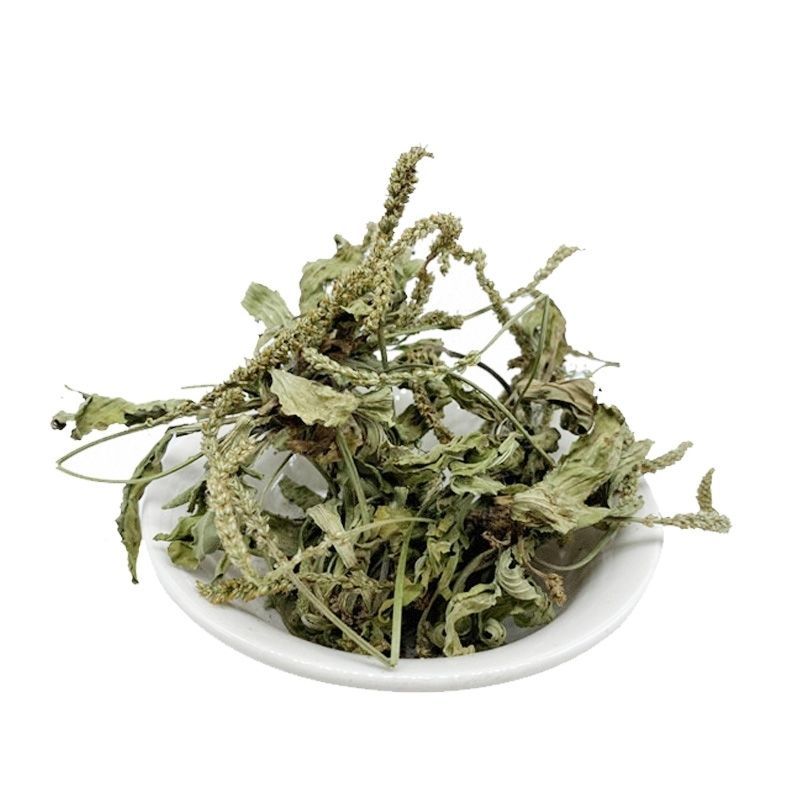 纯野生干货车前草蛤蟆叶车茶草干货新鲜中药材