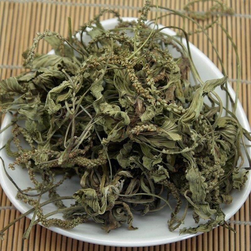 纯野生干货车前草蛤蟆叶车茶草干货新鲜中药材