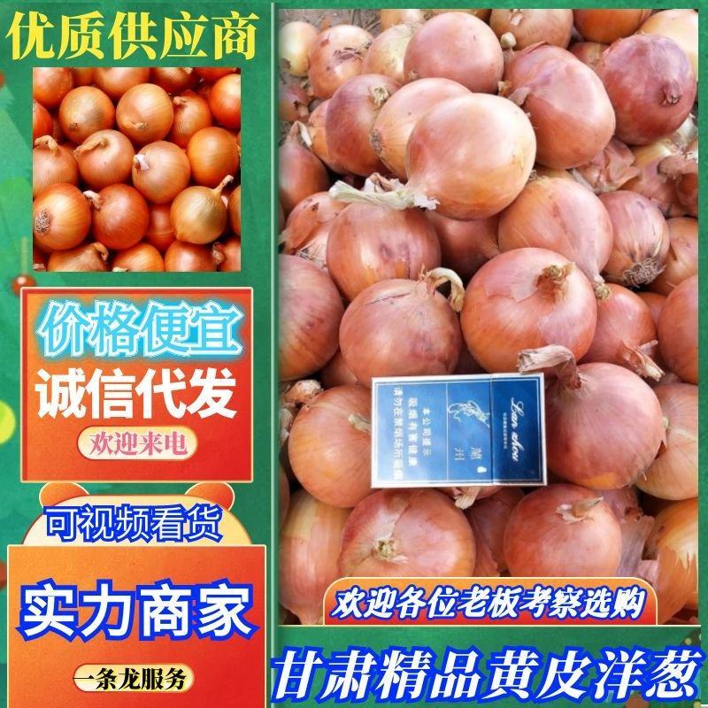 【甘肃红皮洋葱】大量上市中，个头大颜色好货源充足