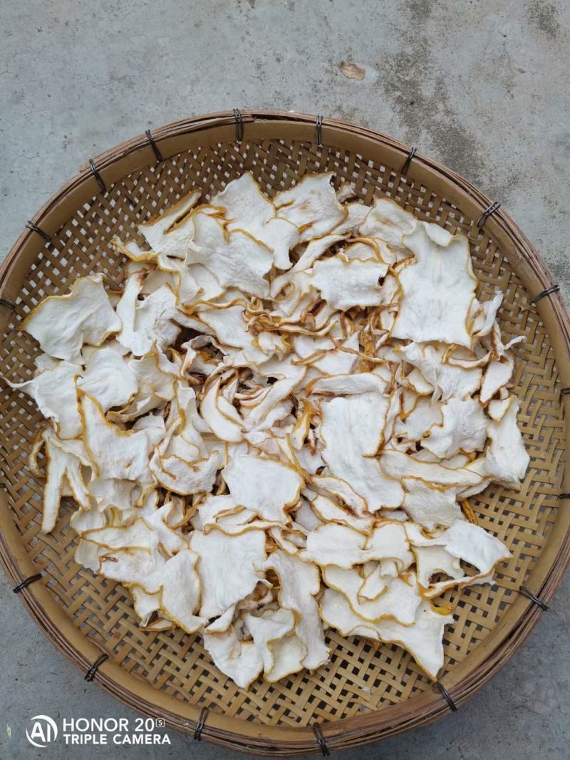 佛手果广佛手佛手柑药用价值高，统果观赏果量大从优