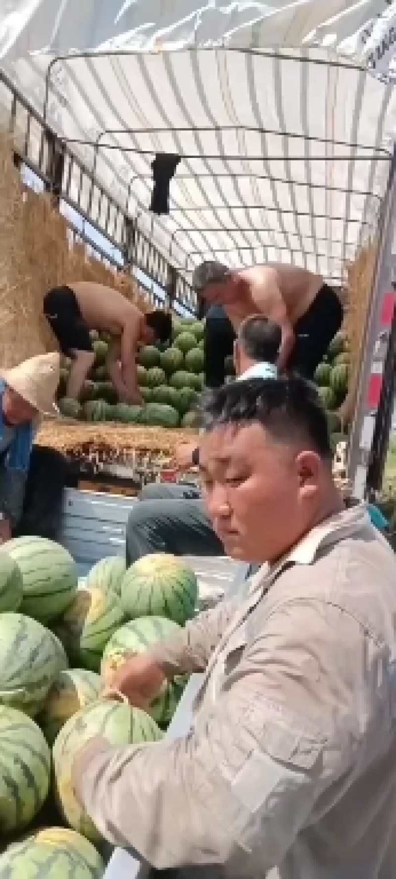 精品甜霸王西瓜价格便宜了！欢迎新朋友前来看货选购！