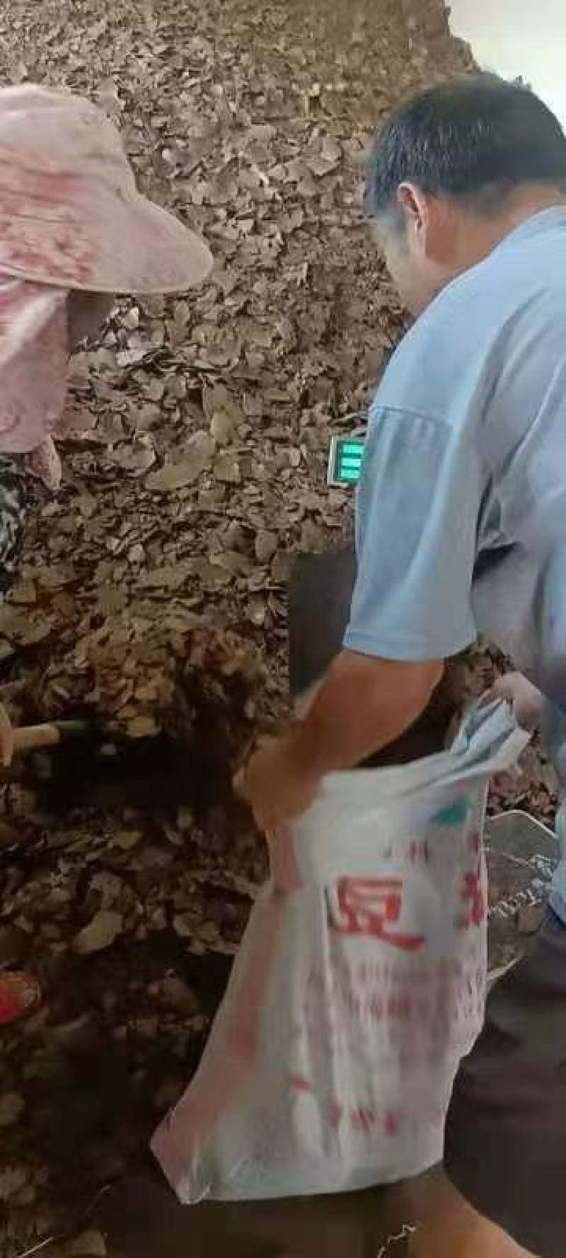 纯菜籽饼