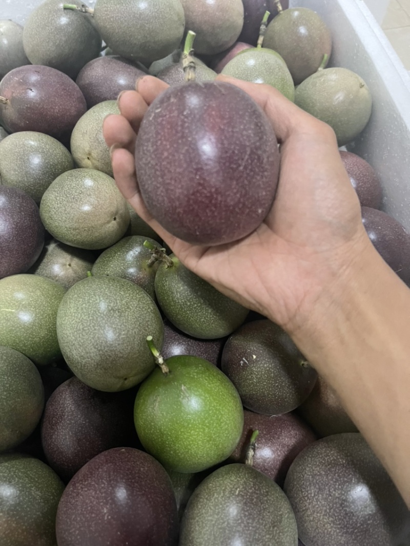 台农精品市场果