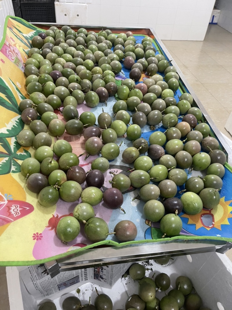 台农精品市场果