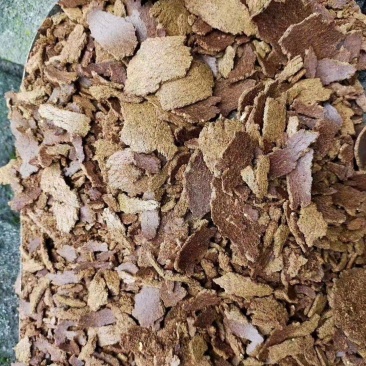 纯菜籽饼