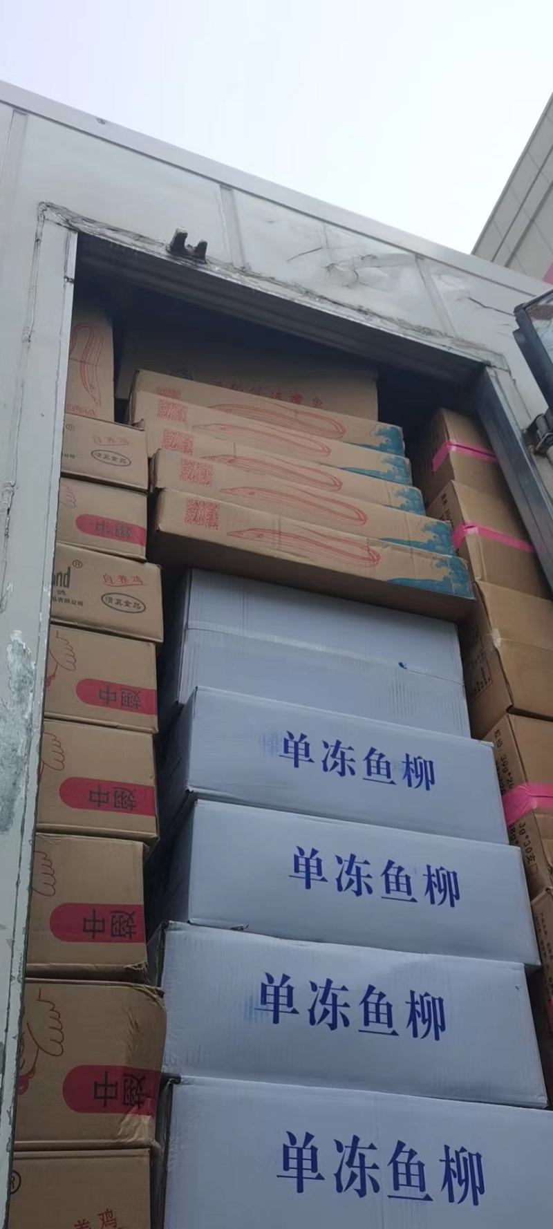 国产带鱼东海带鱼一袋2斤一件8袋两去带鱼